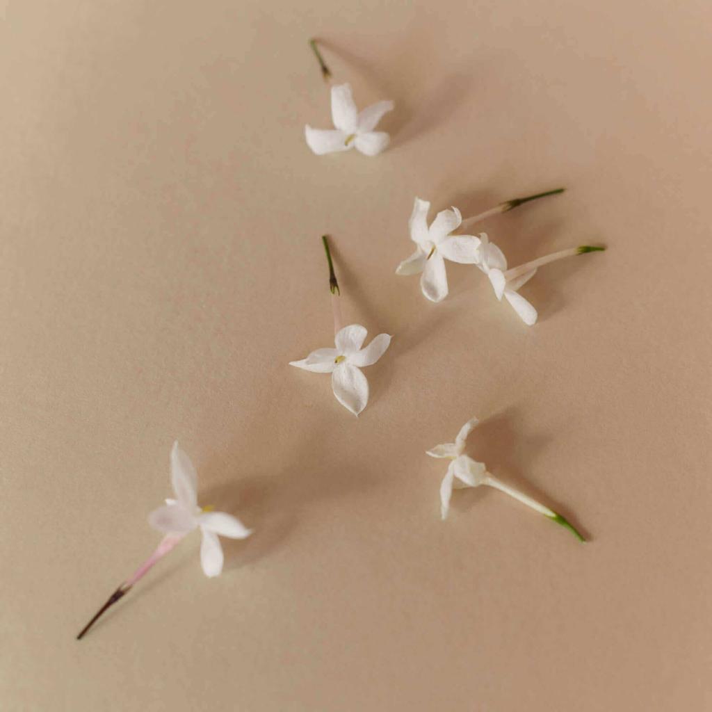 Jasmine